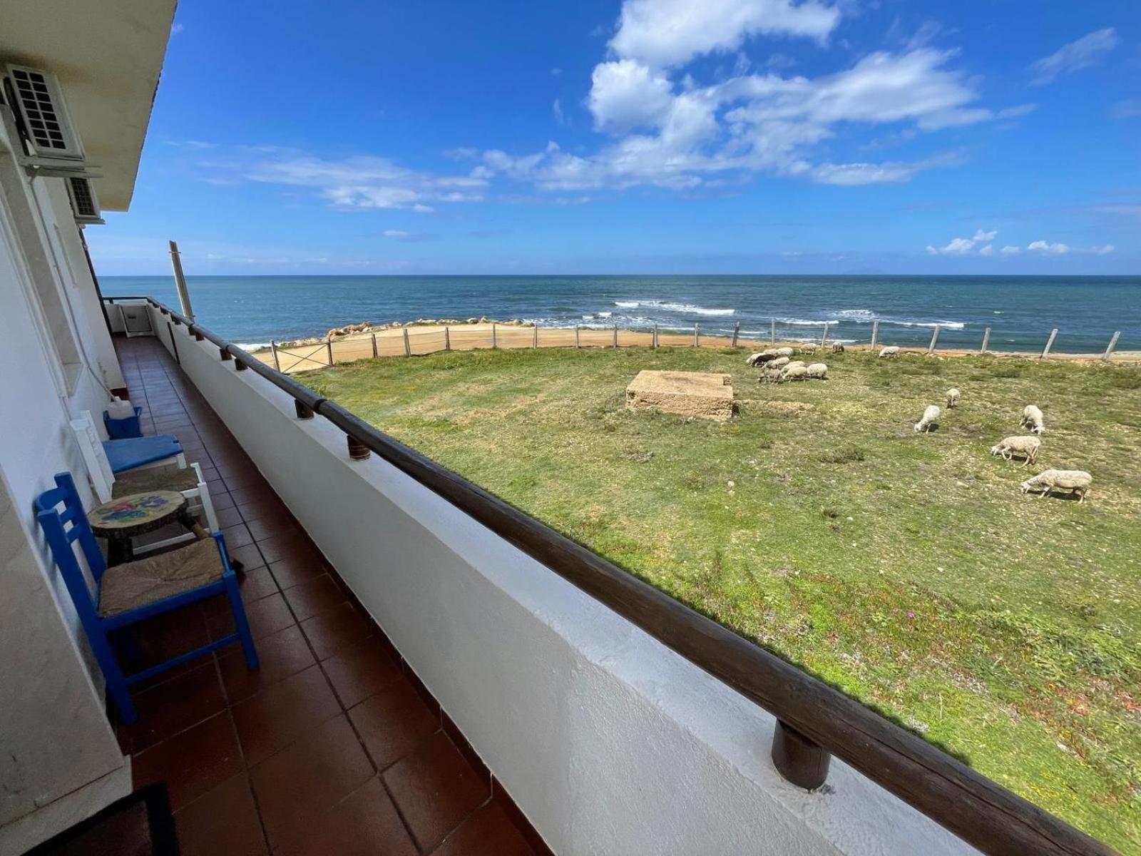 페트로지노 Casa Al Mare Con Splendida Vista Sul Mare 빌라 외부 사진