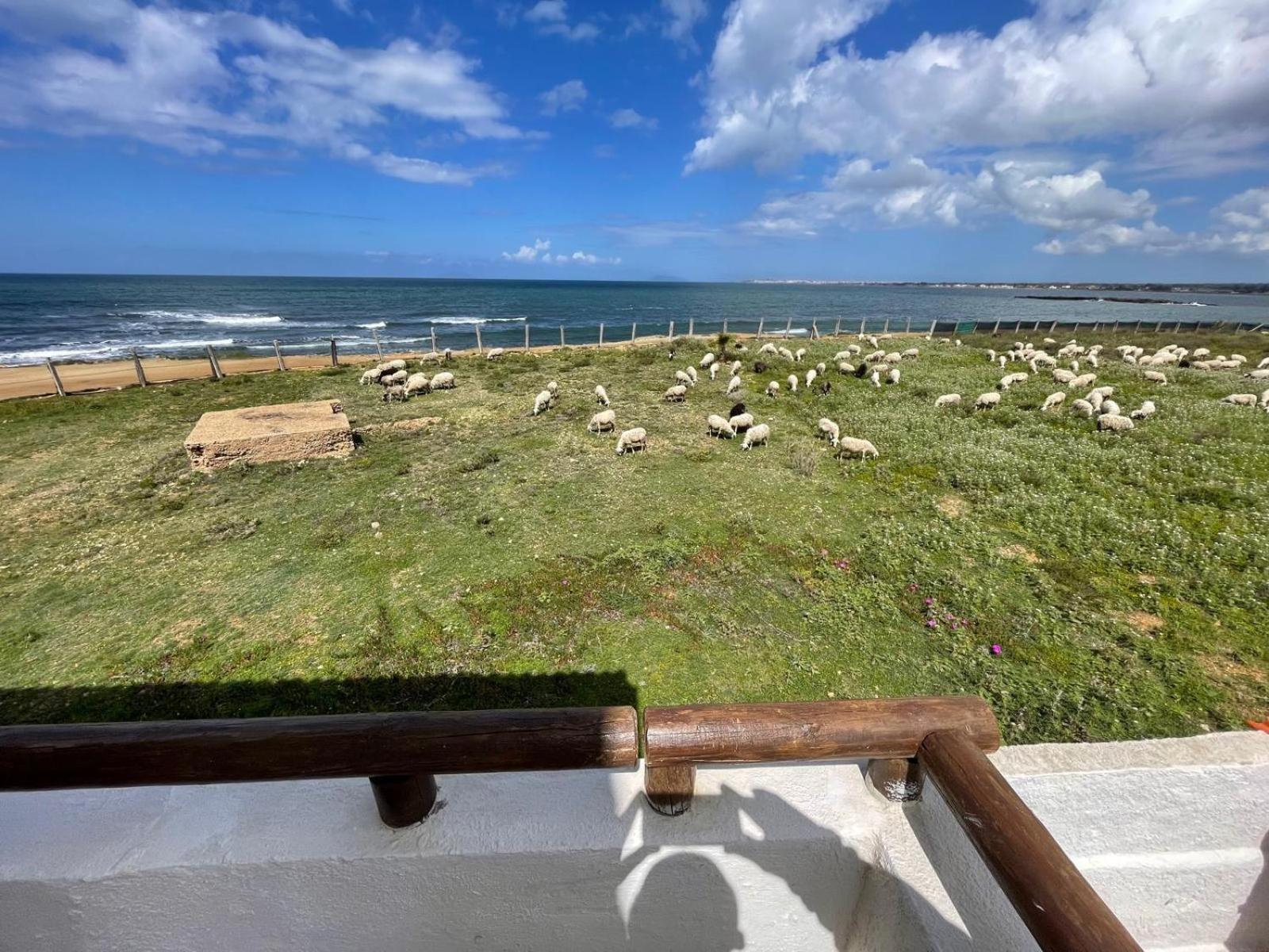 페트로지노 Casa Al Mare Con Splendida Vista Sul Mare 빌라 외부 사진